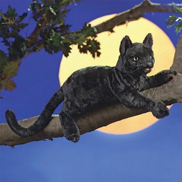 Handpuppe - original Folkmanis - schwarze Katze