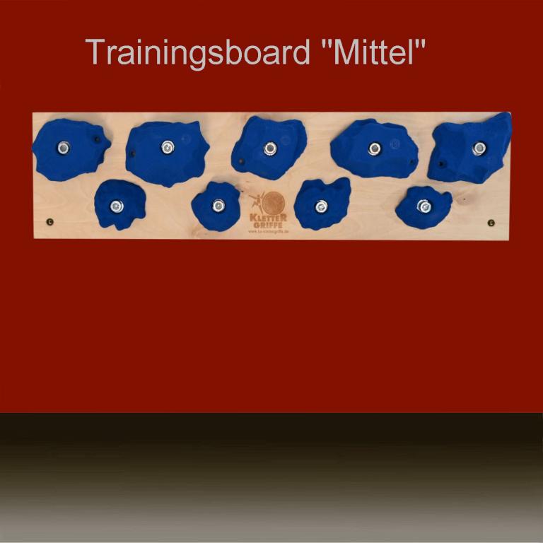 Trainingsboard Mittel - stabiles Kletterboard mit 9/10 Klettergriffen