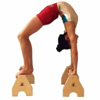 Parallettes Profi-Übung - mit PROFI Handstandkötze