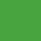 Color Green (RAL 6002)